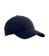 TE BADGE CAP