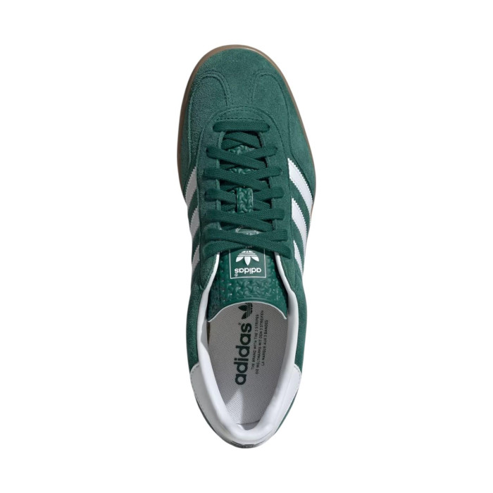 GAZELLE INDOOR