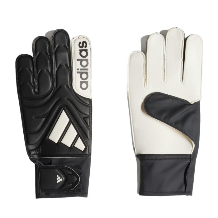 COPA GL CLB
