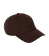 SPW DAD CAP