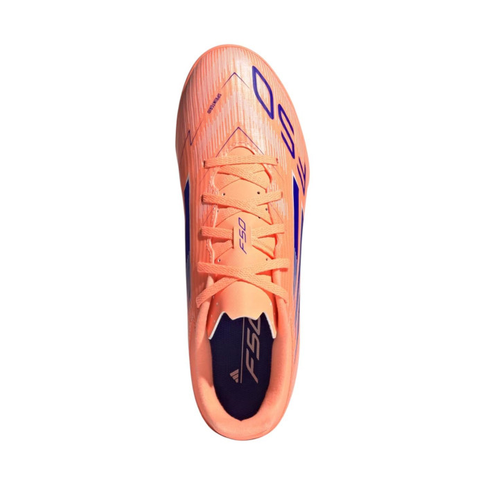 F50 CLUB TF