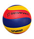 BALON VOLLEYBALL PU