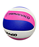 VOLLEYBALL PU