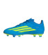 F50 CLUB FG/MG J