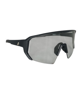 ALLEYCAT SUNGLASSES