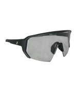 ALLEYCAT SUNGLASSES
