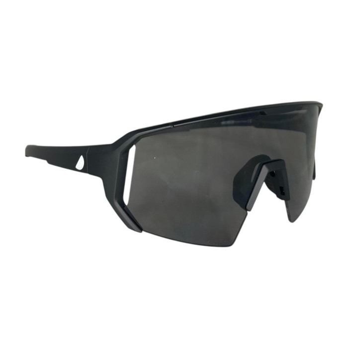 ALLEYCAT SUNGLASSES