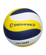 VOLLEYBALL PU