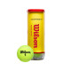 PELOTA CHAMPIONSHIP T1001 EXTRA DUTY TUBO X 3