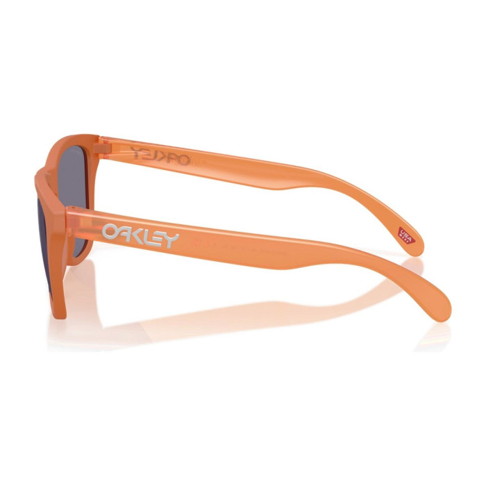 OAKLEY FROGSKINS