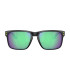 OAKLEY HOLBROOK