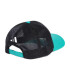 MER DNA TR CAP