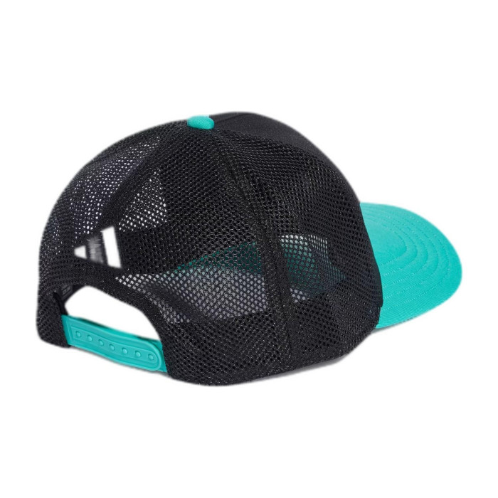 MER DNA TR CAP