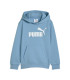 ESS NO. 1 LOGO HOODIE TR B