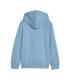 ESS NO. 1 LOGO HOODIE TR B
