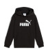 ESS NO. 1 LOGO HOODIE TR PS