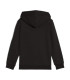 ESS NO. 1 LOGO HOODIE TR PS